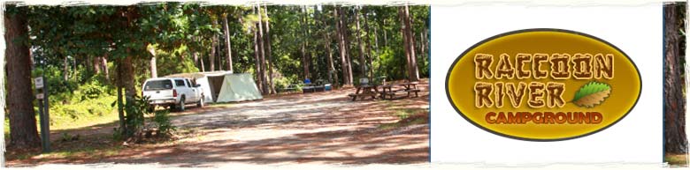 Raccoon River Campground in Panama City Beach