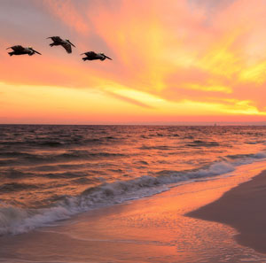 Sunsets in Panama City Beach