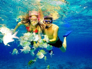 Paradise Adventures in Panama City Beach, Florida on the Visitor's Map