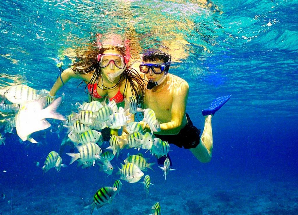 Paradise Adventures in Panama City Beach, Florida on the Visitor's Map Paradise Adventures in Panama City Beach, Florida on the Visitor's Map