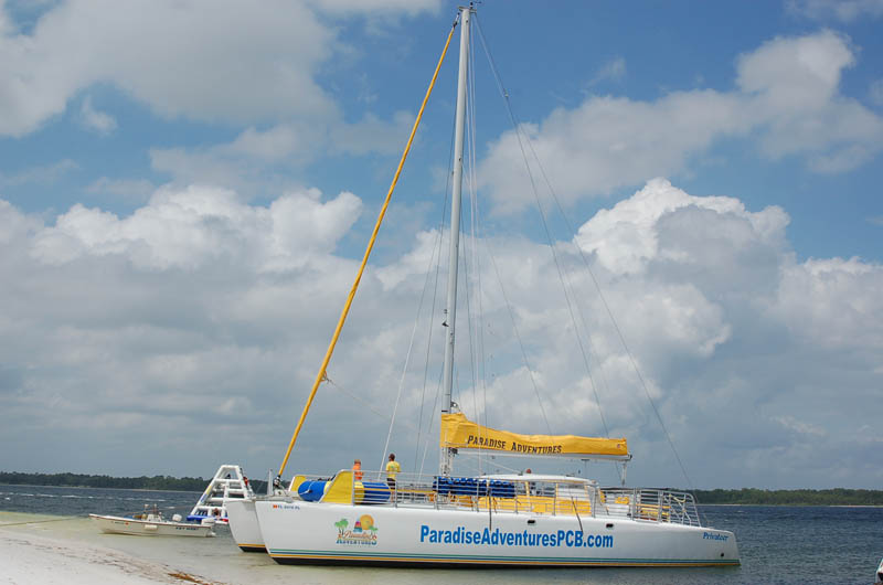 Paradise Adventures Panama City Beach Hotels Condos Attractions Paradise Adventures Catamaran Tours In Panama City Beach