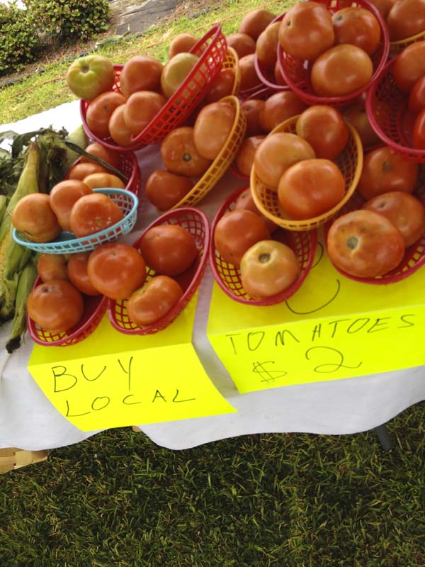 Historical St. Andrews Farmer's Market in Panama City