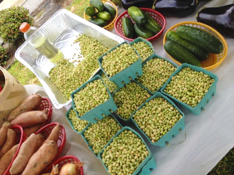 Historical St. Andrews Farmer's Market in Panama City