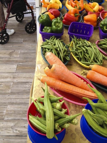 Historical St. Andrews Farmer's Market in Panama City