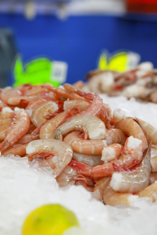 Buddys Seafood Market in Panama City Beach