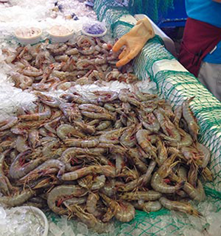 Gandy's Seafood Market in Panama City, Florida