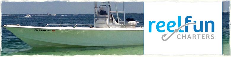 Reel Fun Fishing Charters in Panama City Beach