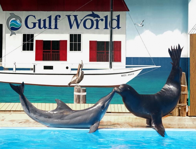 Gulf World Marine Park in Panama City Beach, Florida