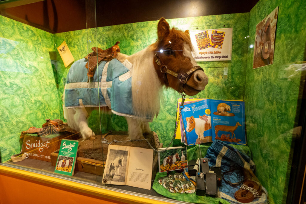 ripleys-panama-city-beach_003