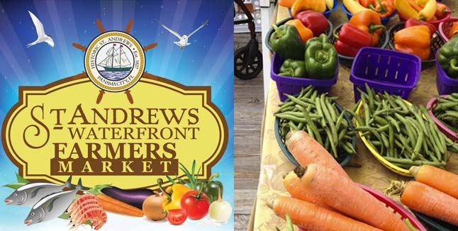 St. Andrews Farmer's Market in Panama City, Florida