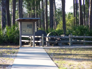 st_andrews_state_park_009