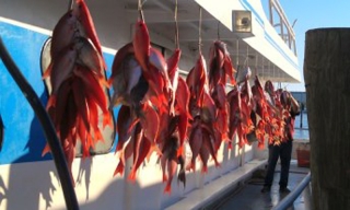 capt_andersons_marina_002