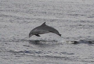 capt_andersons_marina_006