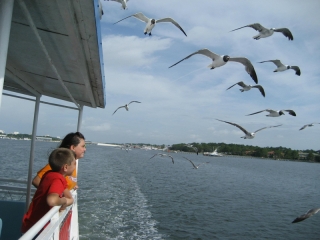 capt_andersons_marina_009