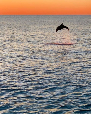 Island Time Sailing Cruise in Panama City Beach, Florida