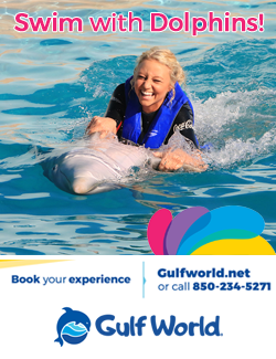 https://www.gulfworldmarinepark.com