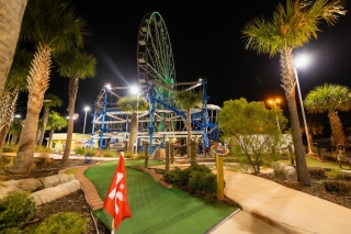 PCB Wheel mini golf and ferris wheel