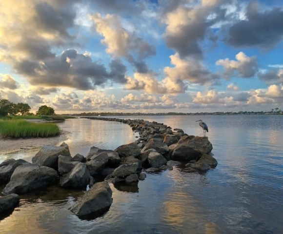 Coastal Wildlife Adventures in Panama City Beach