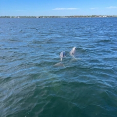 Hideaway_Pontoon_Rentals_10