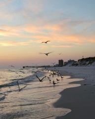 hideaway_pontoons_panama-city_beach_25